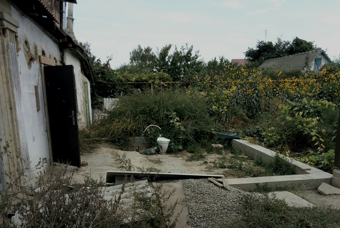 Очень общественный туалет #2