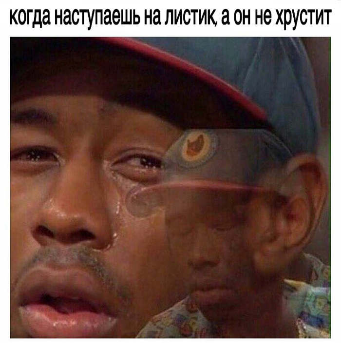 Проблемы осени | Пикабу