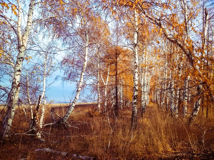 October autumn. - My, Landscape, Nature, The nature of Russia, The photo, Autumn