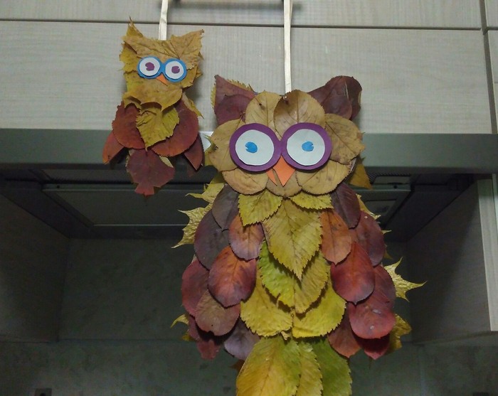 Craft in d / garden - Crafts, My, Owl