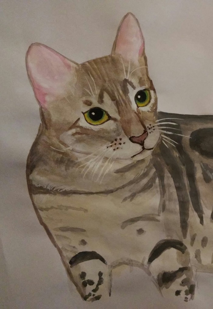 My cat muse - My, cat, Drawing, Gouache, Crooked hands, 