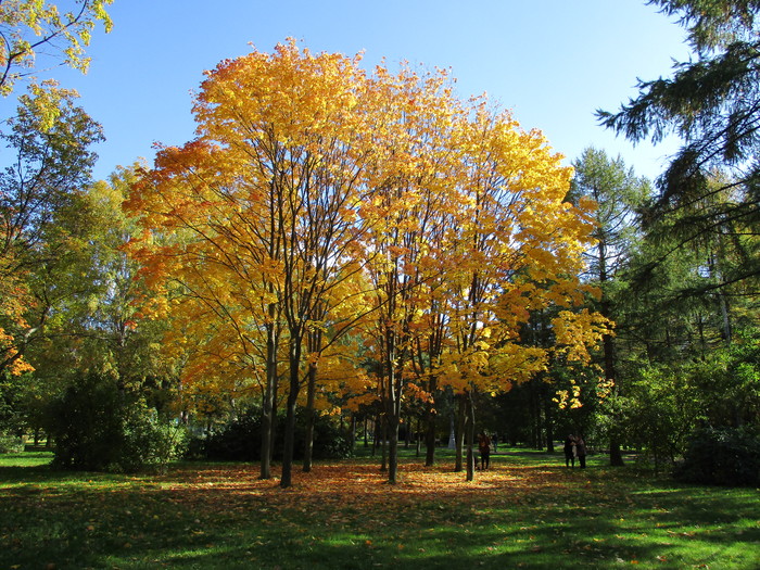 Парк ангарские пруды фото москва