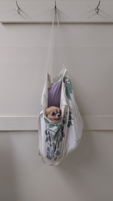 Бабушка с собачкой