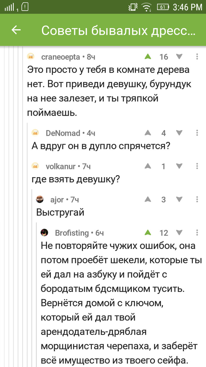Девушка из бревна