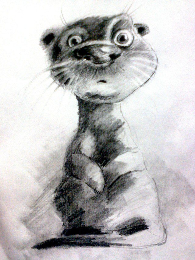 Otter painted - Otter, Milota, Art, Pencil drawing, Our Tanya is crying out loud, Congratulation