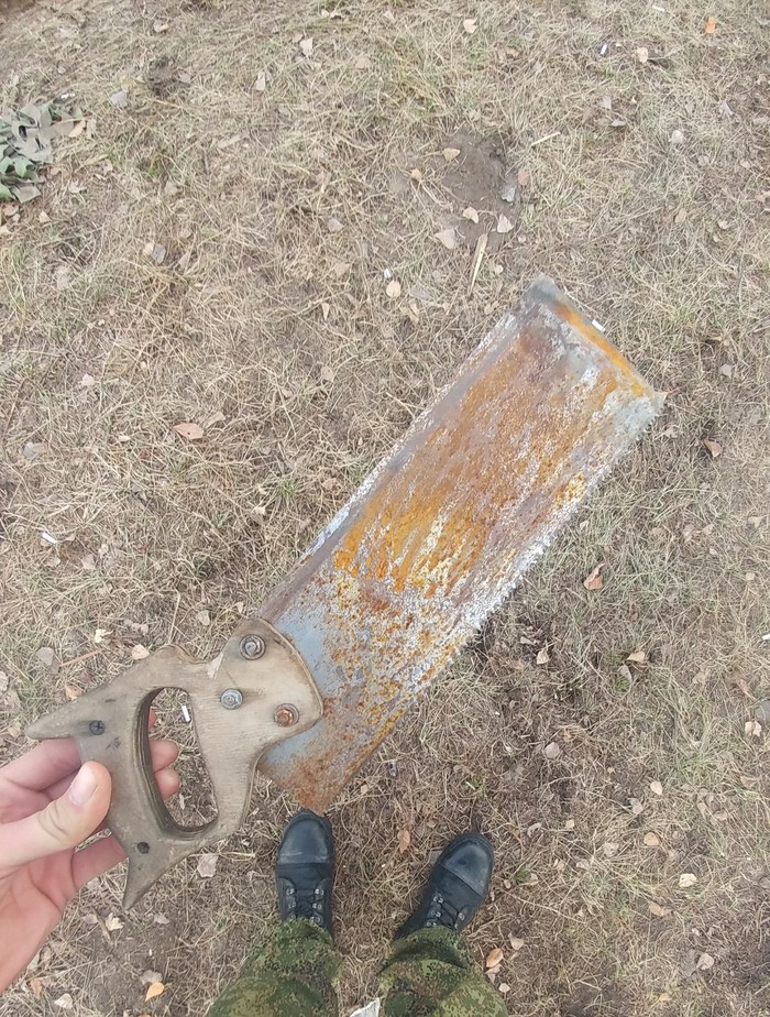 Пила военная (обыкновенная)