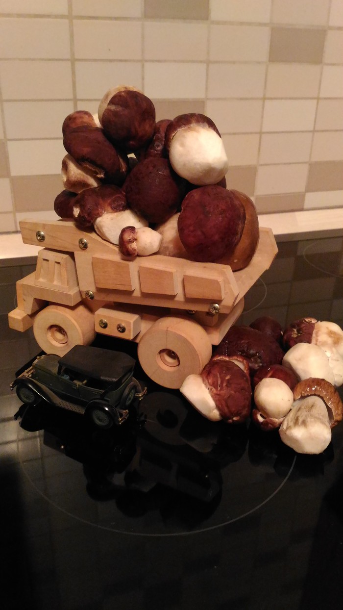 Get in the body! - My, Mushrooms, Borovik, Dump truck, Body, Longpost