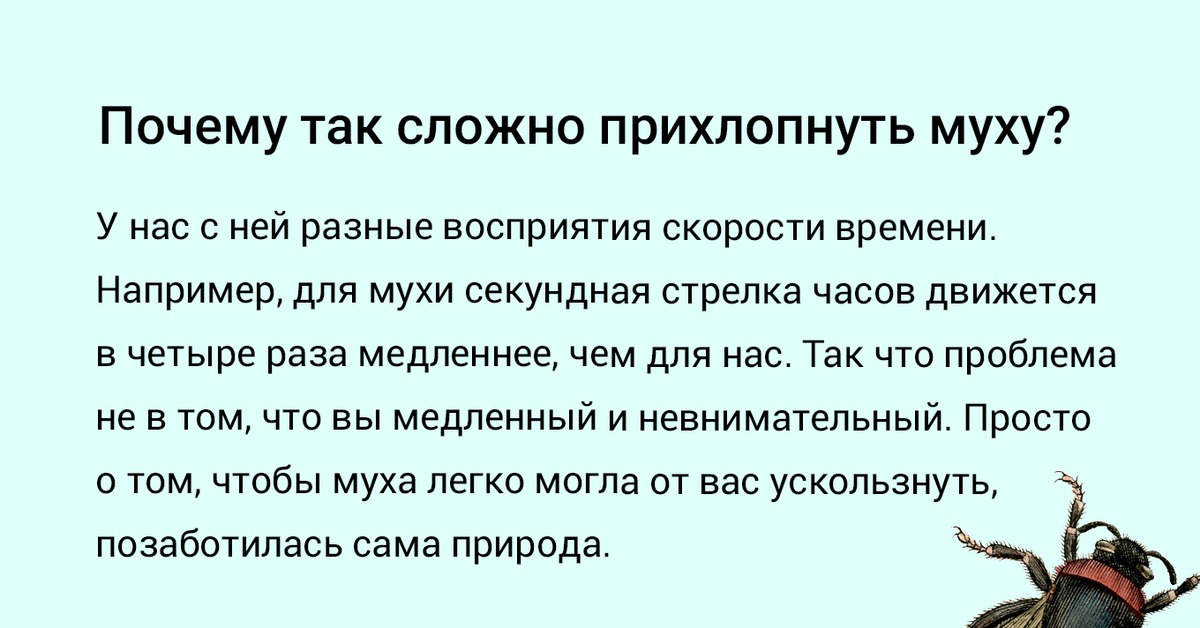 Почему трудно. Прихлопнуть муху. Прихлопнутая Муха. Почему муху сложно убить. Почему муху так трудно убить.