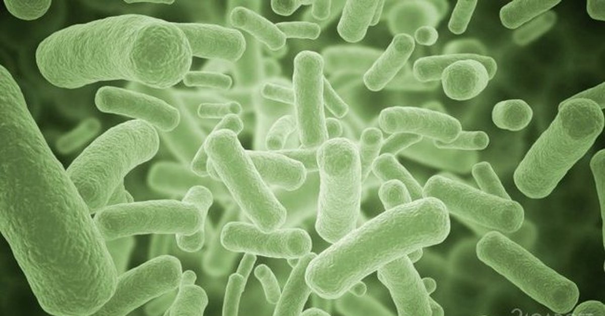 Бактерии в соленой воде. Бактерии. Бактерии и антибиотики микроскоп. Красивые бактерии. Бактерии под микроскопом.