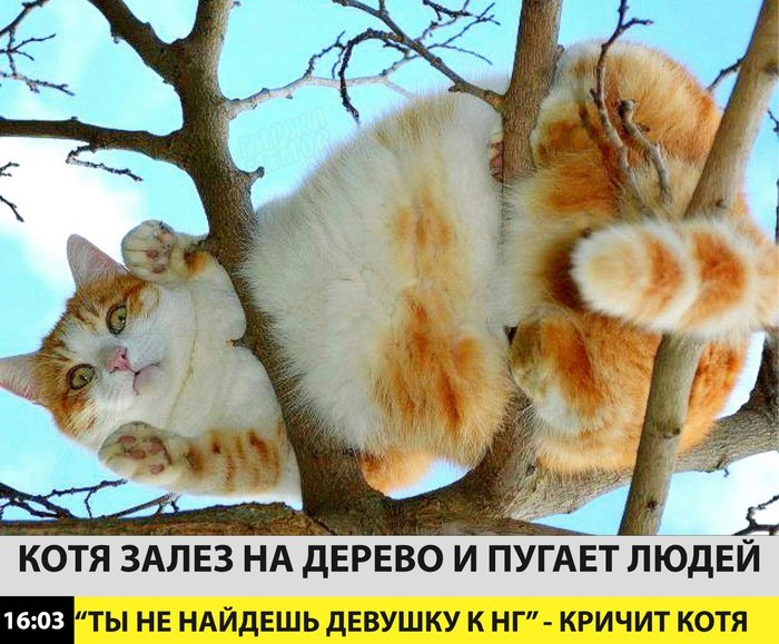 �������� ����� �����