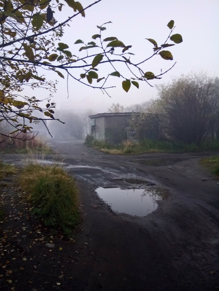 Silent Hill (Why not?) - My, Fog, Day, Autumn, The photo