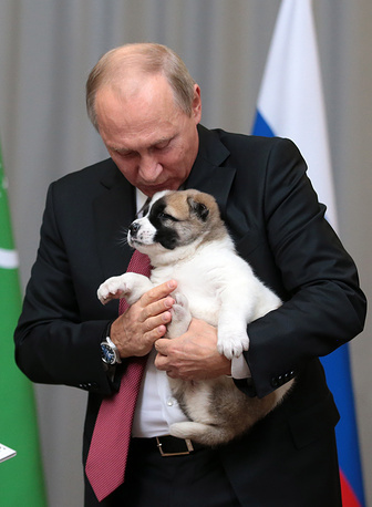 Сколько У Путина Собак Фото