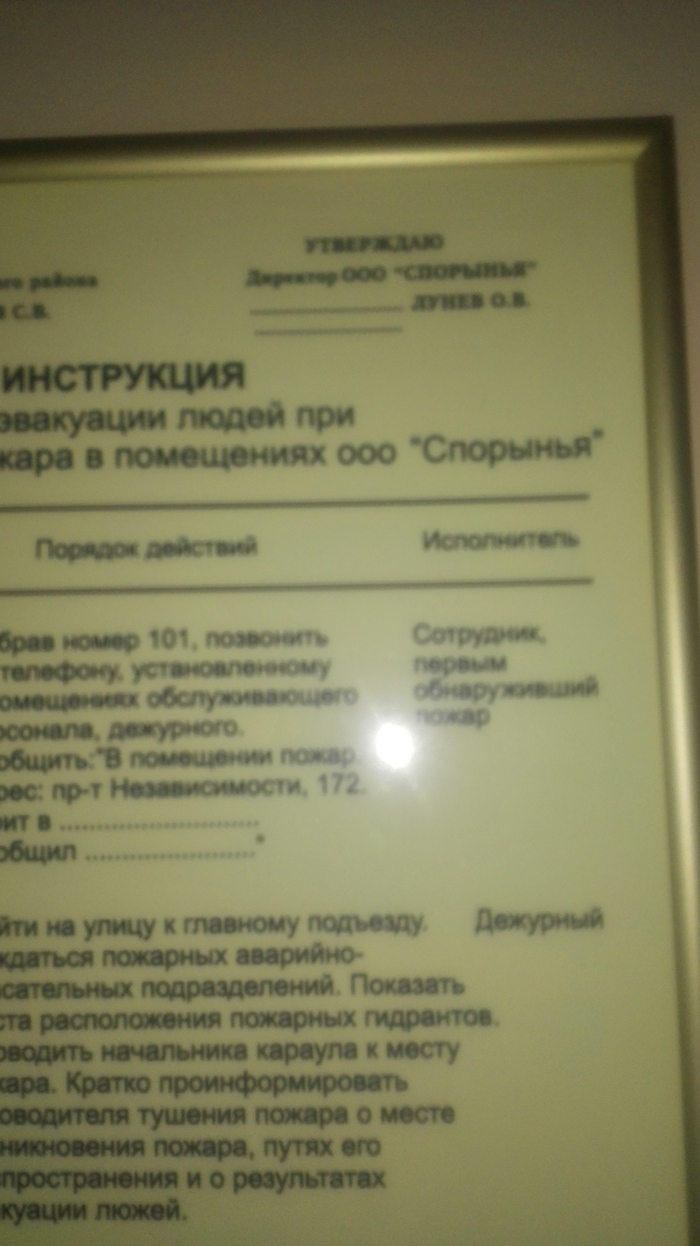 ООО «Спорынья» или об искусстве нейминга - Спорынья, Название, Моё, Удивительное