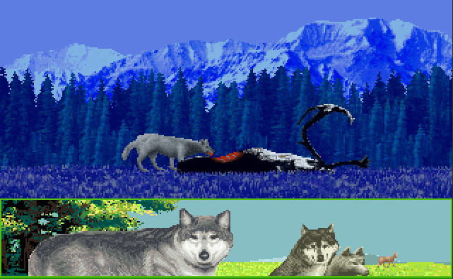 Симулятор волка Wolf 1994г. - Моё, Игры, Олдскул, Симулятор, Волк, Длиннопост