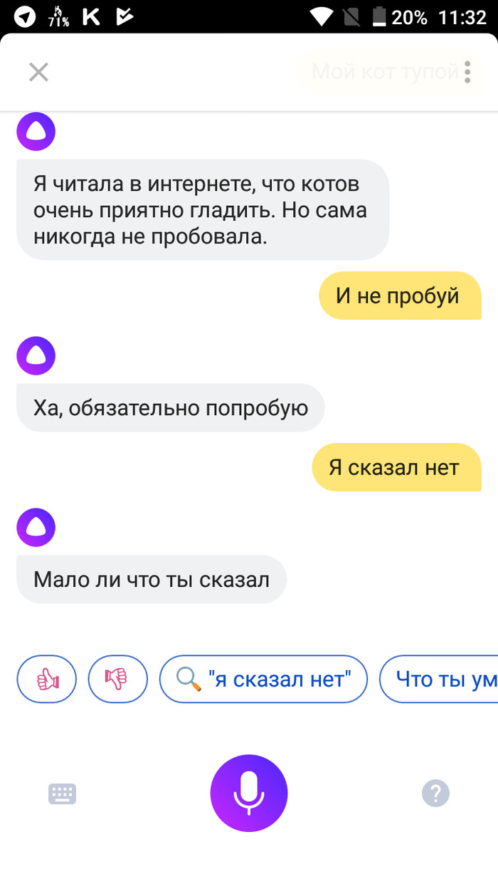 Conversations with Alice - Yandex Alice, Нейронные сети, The bot, Correspondence