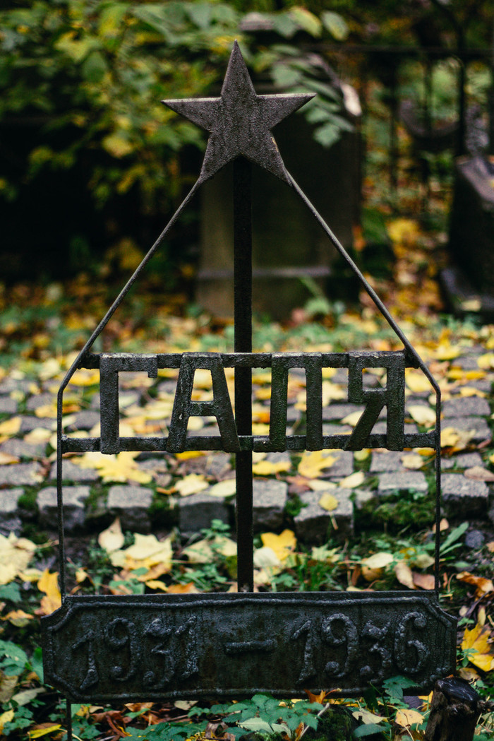 Smolensk Lutheran cemetery in St. Petersburg. - My, Longpost, The photo, Canon, Canon 1100d, Canon EF 50mm f18 II, Autumn, Saint Petersburg, Cemetery