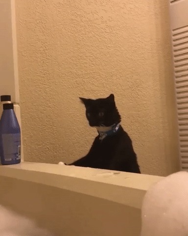  ?