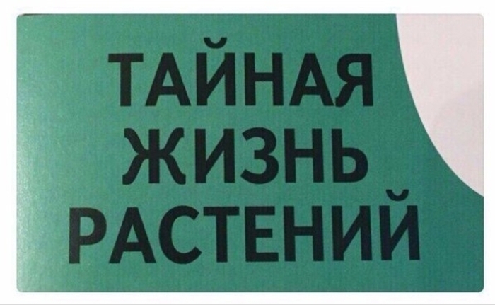 Когда встречаешь одноклассников вне школы: - Растения, Овощи, Одноклассники