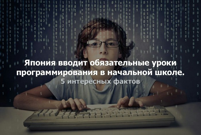 Не то , что в России. - Моё, Комментарии на Пикабу, Программирование