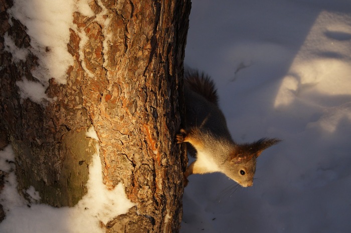 ���������� �����))