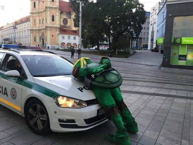 Michelangelo did play with nunchucks - Teenage Mutant Ninja Turtles, Police