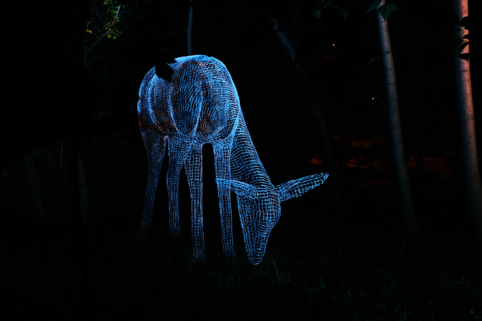 neon animals... - My, Photographer, The photo, Summer, Light, Night, Diligence