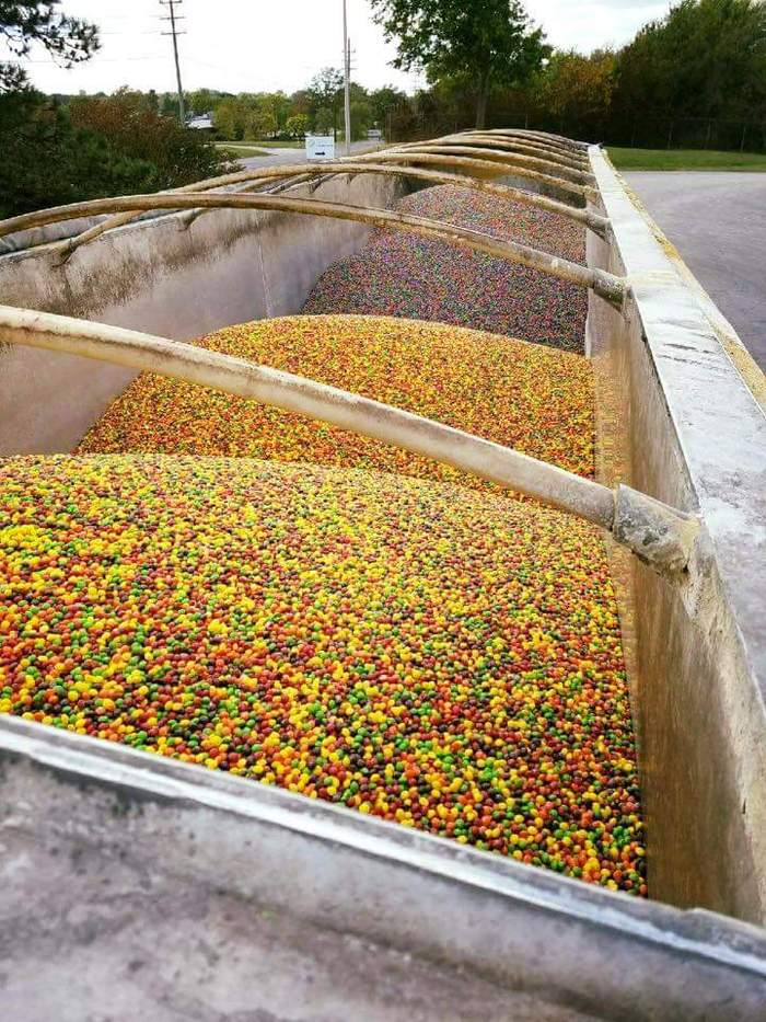 They just threw away skittles that didn't pass the appearance test. - In contact with, The photo, Humor, Funny photo, Images