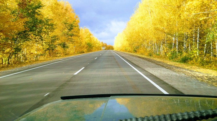 When the sun comes out after the rain - My, Autumn, The photo, Road, Voronezh region