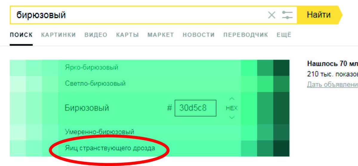 Цвет яйца дрозда фото в палитре