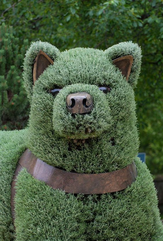 Good boy - Craft, Sculpture, Grass, Landscape design, Dog, , Topiary