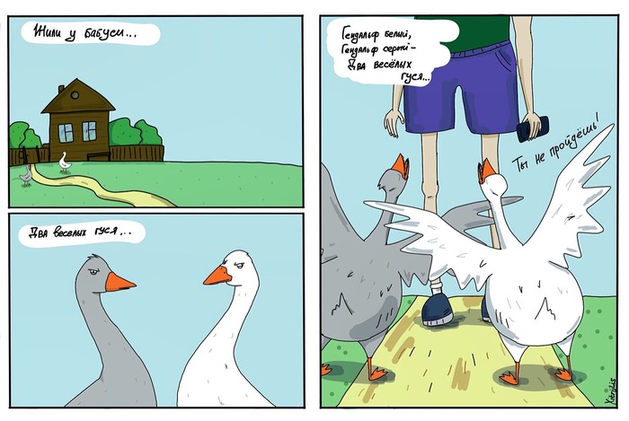 Two cheerful geese - My, My, Comics, Гусь, Lord of the Rings, Humor