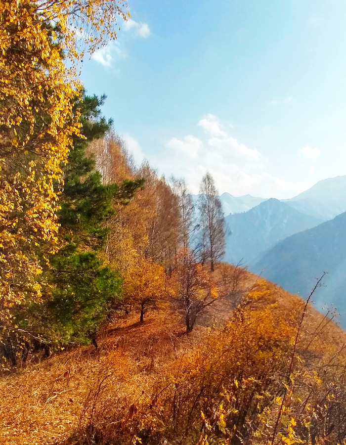 Осень в горах Заилийского Алатау - Моё, Фотография, Казахстан, Алматы