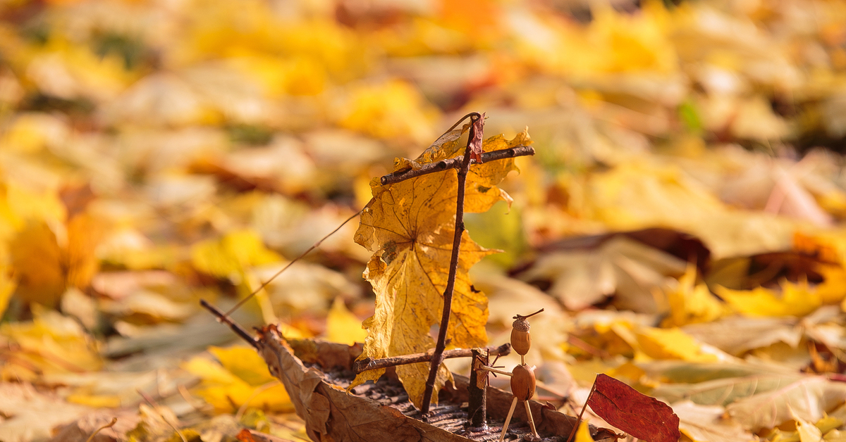 Главная роль осень. Осенние кораблики. Кораблики осенних листьев.. Корабль осень. Бумажный кораблик с листочками осень.