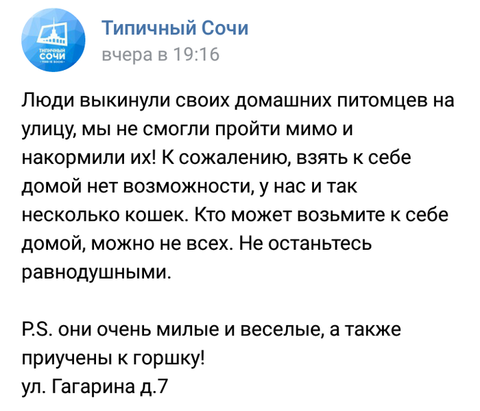 фото домашние в контакте онлайн фото домашние в контакте
