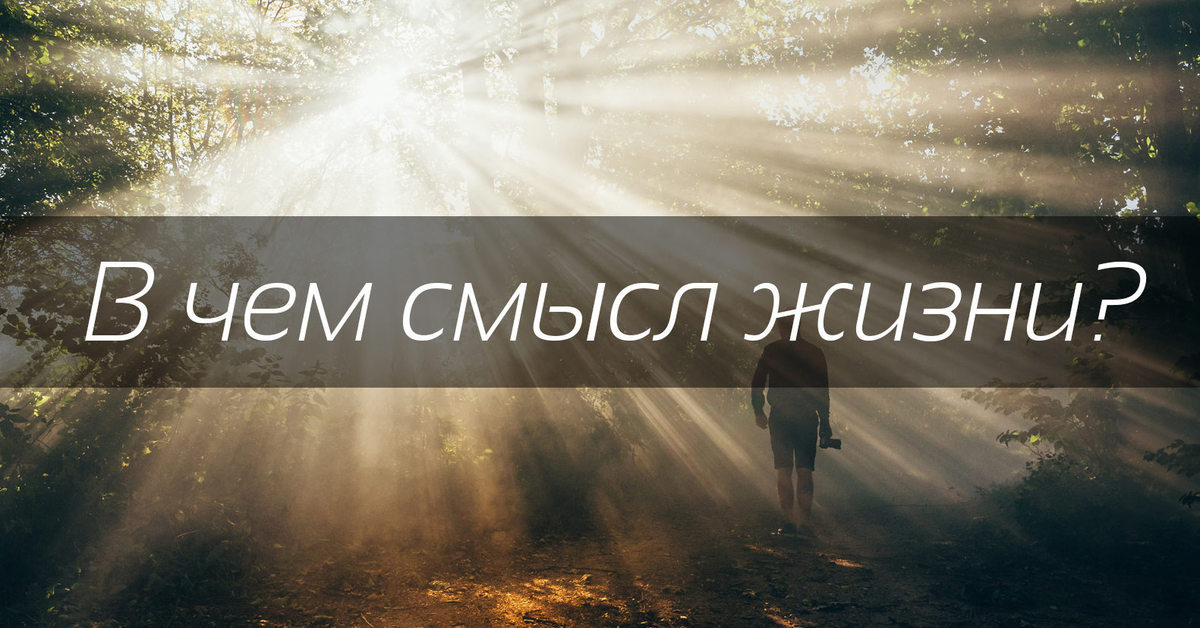 Как найти свой смысл жизни. О смысле жизни. В чём смысл жизни. В чем смысл жизни картинки. Картинки со смыслом о жизни.