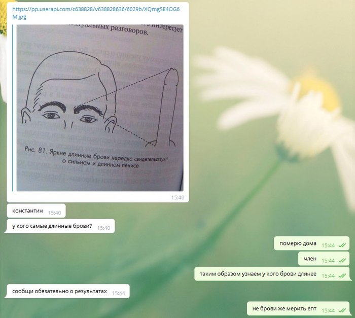 Brows - My, Brows, Telegram, Correspondence, Screenshot