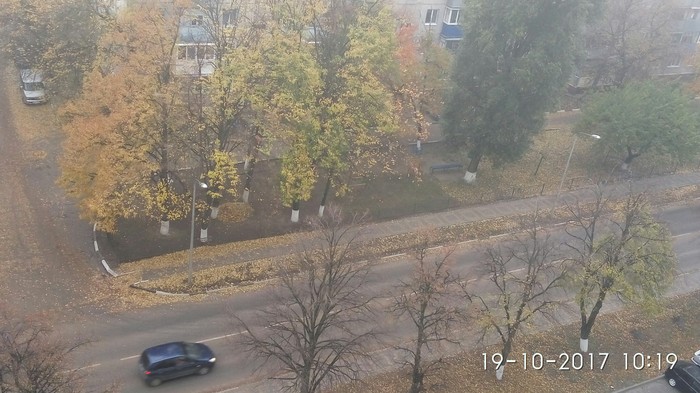 Kantik - Kantik, Street cleaner, Leaves, Autumn, Fog