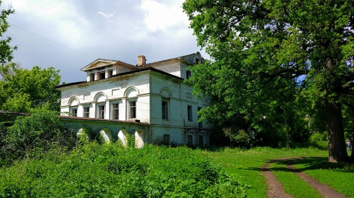 Orlov's estate in the village of Usolie, Samara region - My, Pre-revolutionary Russia, Ruins, The photo, Longpost, Российская империя