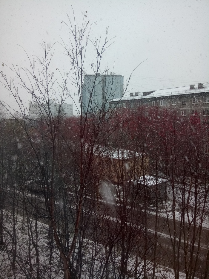 And here we have snow - My, Snow, Autumn, Winter