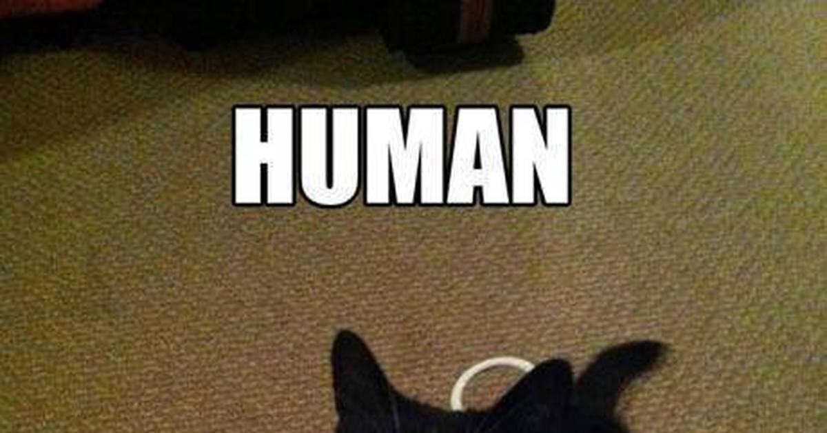 I requested. Human i request your assistance. Human i need your assistance. Require assistance. I not Human?.
