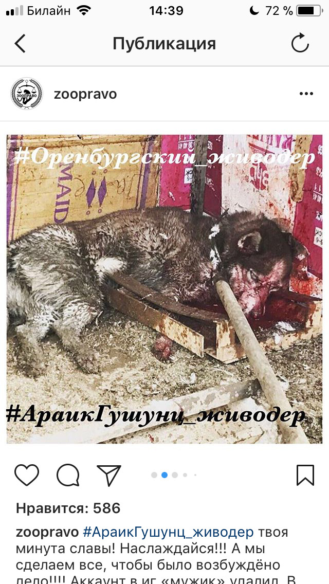 Orenburg flayer Araik Gushunts - Flailing, , Orenburg, Cruelty, Horror, Husky, , Longpost