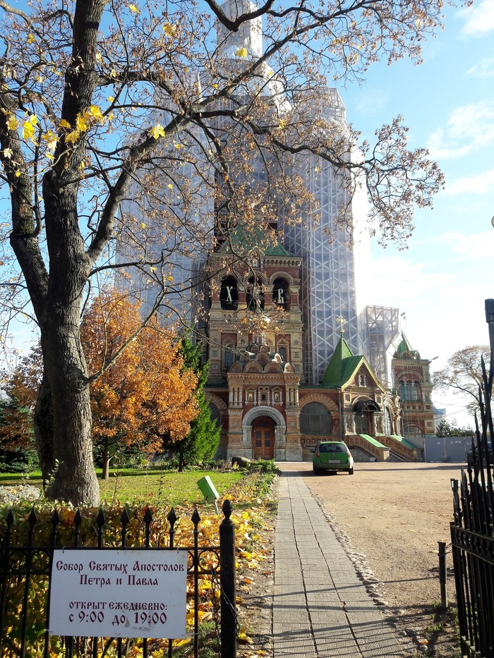 My sunny Peterhof. October 21, 2017 - My, Autumn, The sun, Peterhof, Cathedral of Peter and Paul, , Longpost