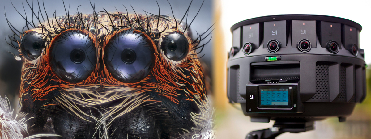 Камера спайдер 2.0. Глаза паука. Камера Spider. Глаза паука фото. Паучок с камерой.