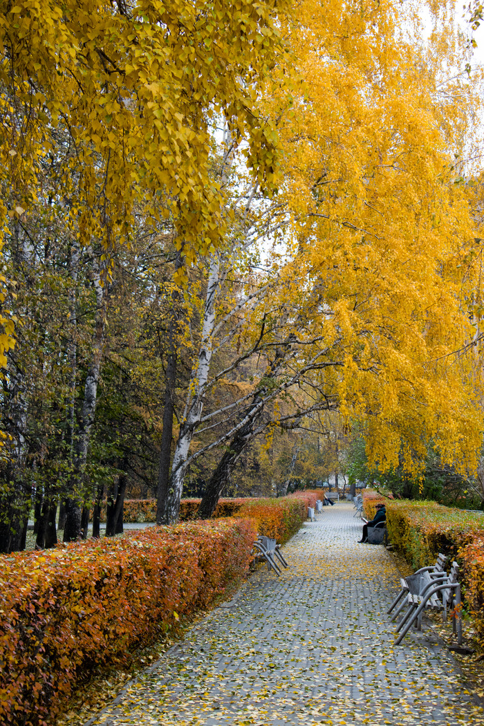 Осенний привет из Челябинска Фотография, Осень, Парк