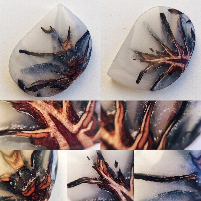 Pine in resin - My, Resin, Epoxy resin, Jewelry resin, , Wood and resin, Cones, , Decoration