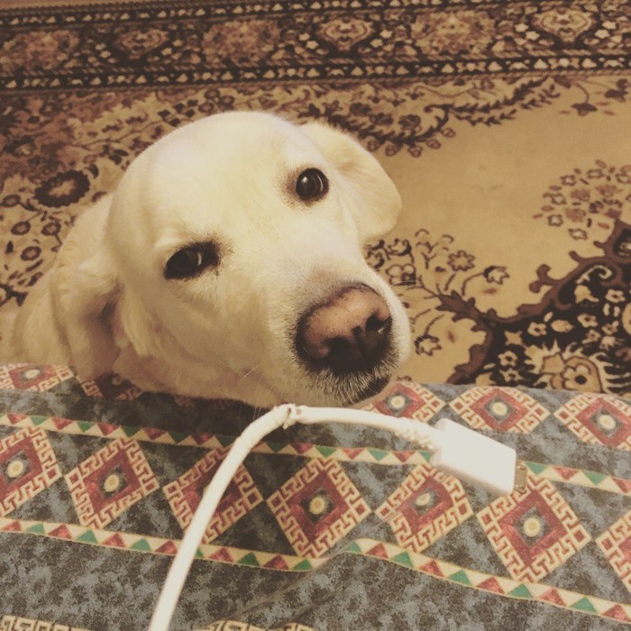 ��� ��� �� �, ��� ����� ��� �����, �������=)