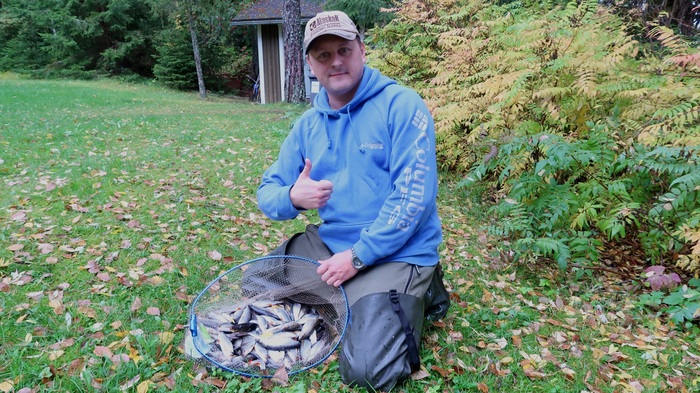 Fishing in Finland on the feeder. - My, Fishing, Roach, Feeder, Saimaa, Finland, Redfish, Video, Longpost