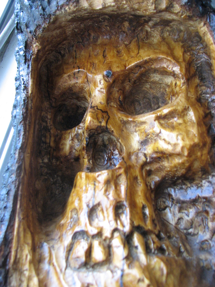 Skull carved from birch. - My, Scull, Wood carving, Longpost