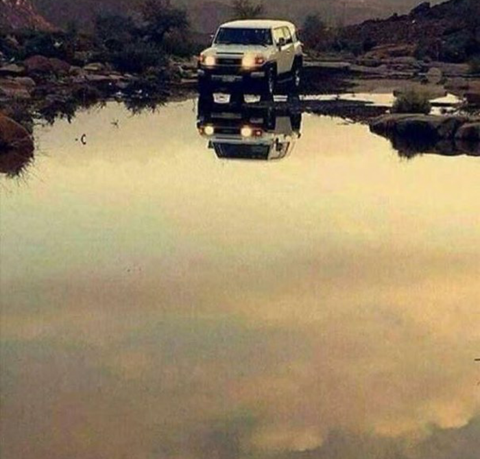 Отличное фото, как ни крути