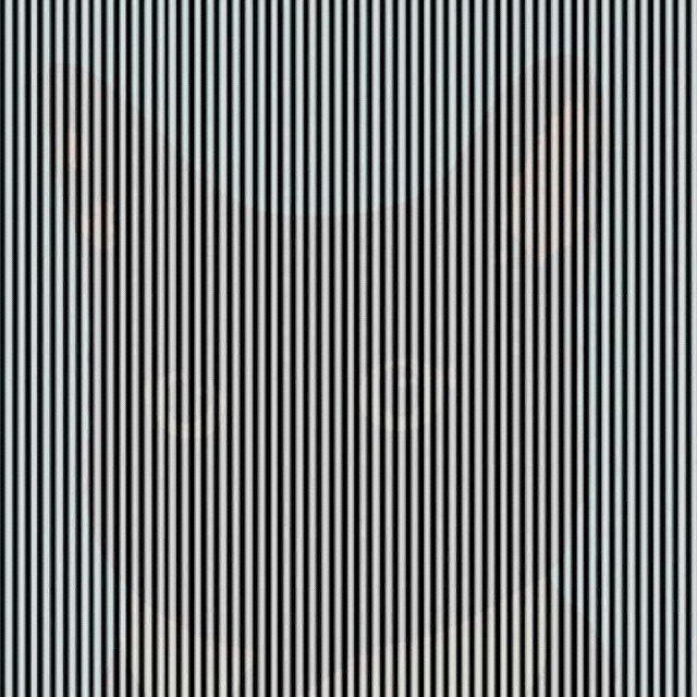 Just shake your head. - Images, Optical illusions